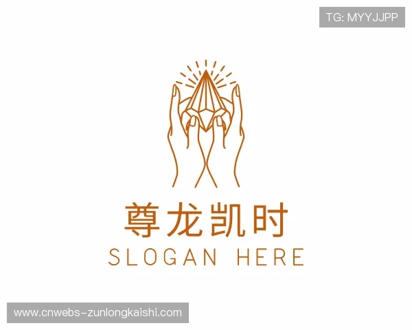 认识尊龙凯时公司